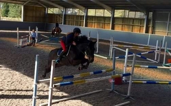 2 Day Adult Showjumping Camp - 'Up Your Game'